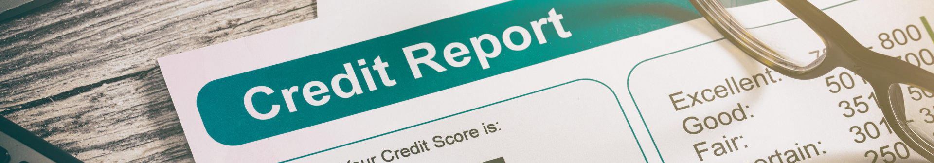 Credit Reports